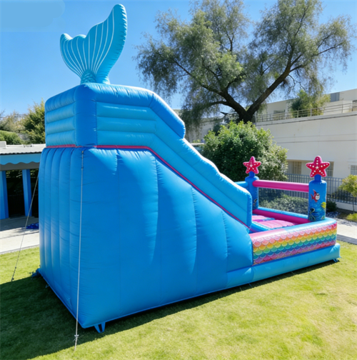 Bouncy Castle01 Bouncy Castle01