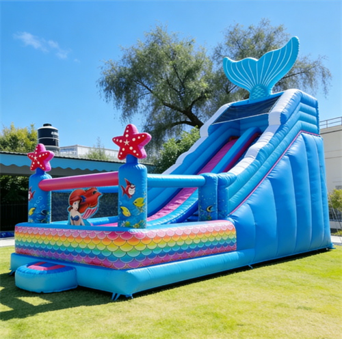 Bouncy Castle05 Bouncy Castle05